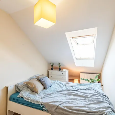 Apartament Family House